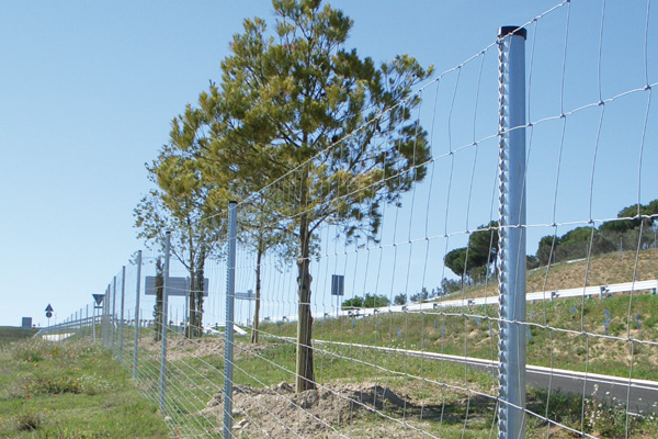 ToSic.Sxc.Adam.Internal.File`2[System.Int32,System.Int32]