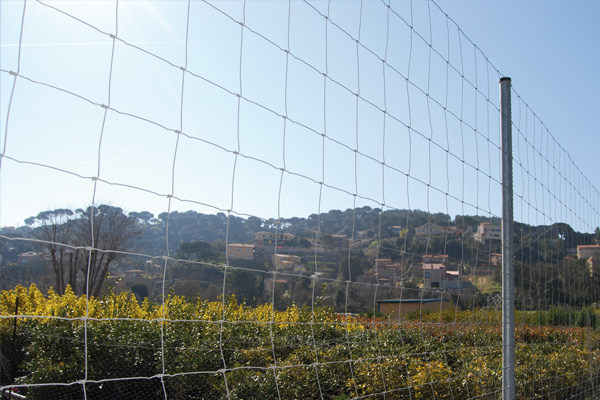 ToSic.Sxc.Adam.Internal.File`2[System.Int32,System.Int32]