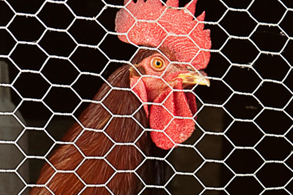 ToSic.Sxc.Adam.Internal.File`2[System.Int32,System.Int32]