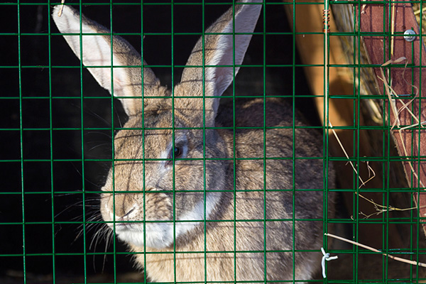 ToSic.Sxc.Adam.Internal.File`2[System.Int32,System.Int32]